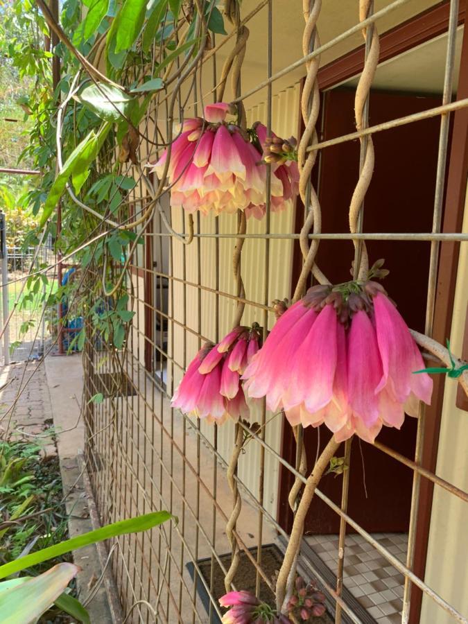 Spring Homestead Howard Springs Εξωτερικό φωτογραφία